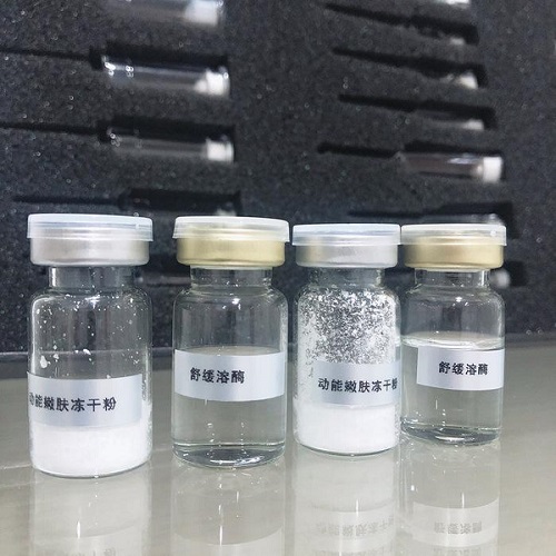 護(hù)膚品凍干粉