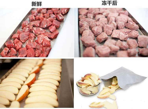 labconco凍干食品